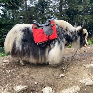 🍁Meet your Posher!🍂🍁